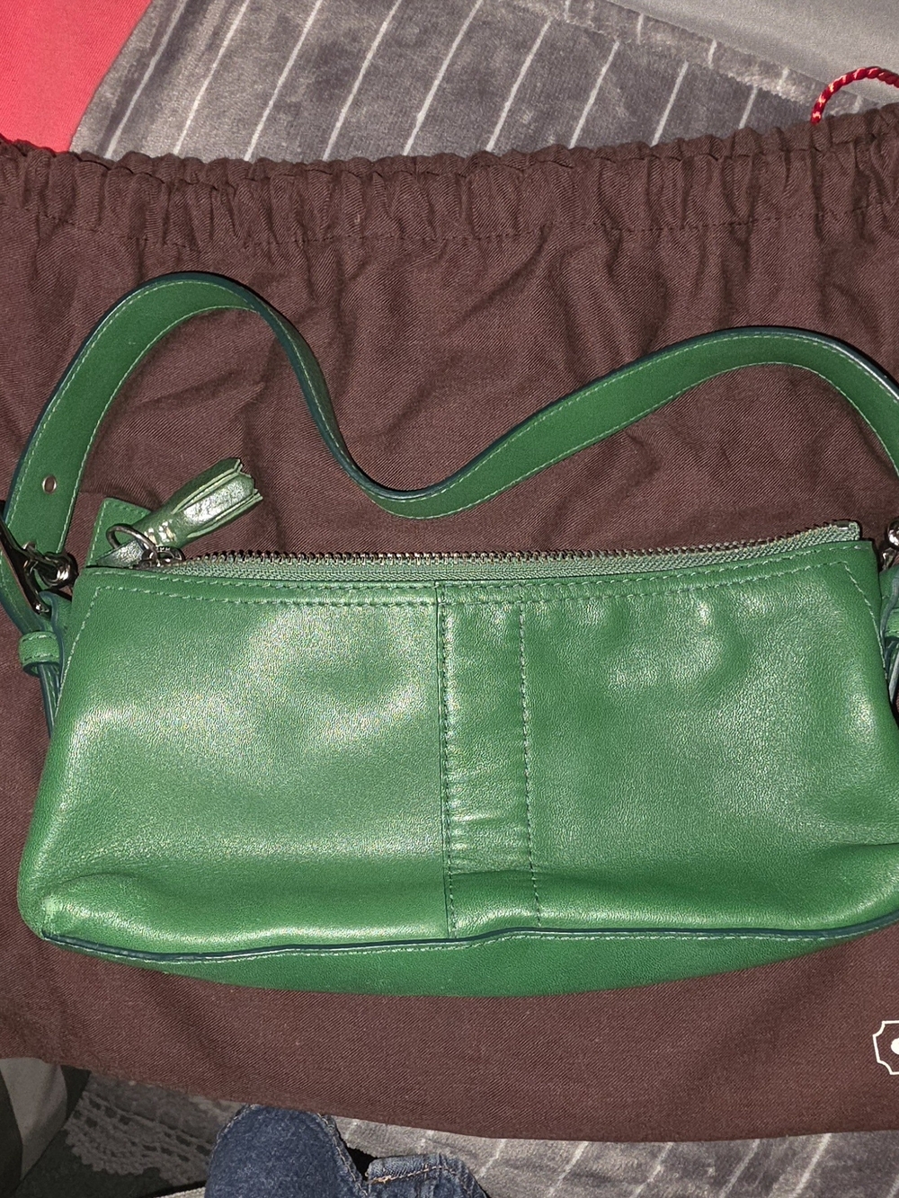 Coach Green Leather Shoulder Bag - Small